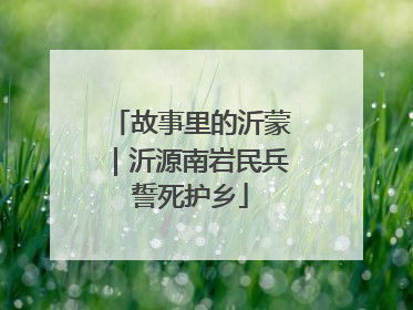 故事里的沂蒙｜沂源南岩民兵誓死护乡