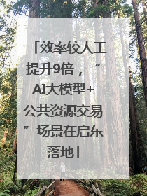 效率较人工提升9倍，“AI大模型+公共资源交易”场景在启东落地
