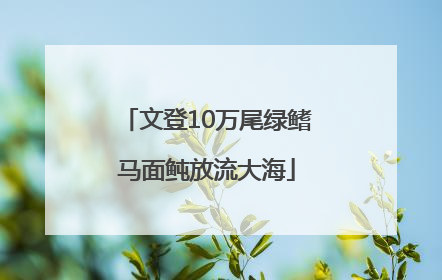 文登10万尾绿鳍马面鲀放流大海