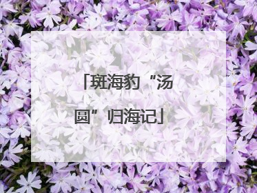 斑海豹“汤圆”归海记