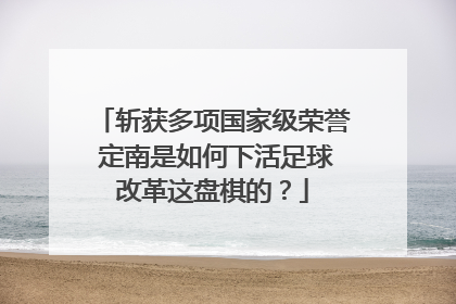 斩获多项国家级荣誉 定南是如何下活足球改革这盘棋的？