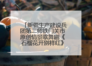 新疆生产建设兵团第二师铁门关市原创情景歌舞剧《石榴花开别样红》将来河北巡演