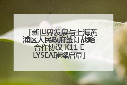 新世界发展与上海黄浦区人民政府签订战略合作协议 K11 ELYSEA璀璨启幕
