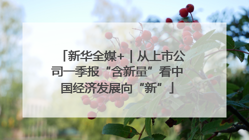 新华全媒+｜从上市公司一季报“含新量”看中国经济发展向“新”