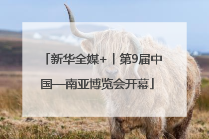 新华全媒+丨第9届中国—南亚博览会开幕