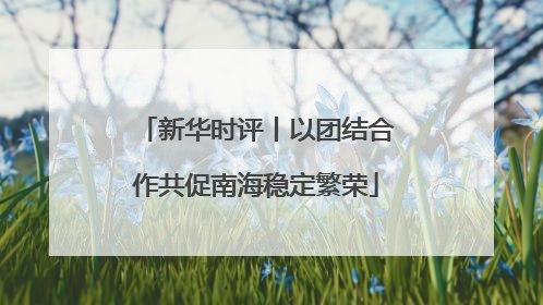 新华时评丨以团结合作共促南海稳定繁荣