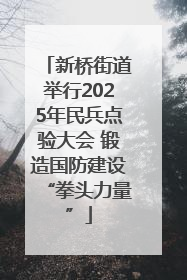 新桥街道举行2025年民兵点验大会 锻造国防建设“拳头力量”