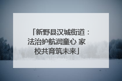 新野县汉城街道：法治护航润童心 家校共育筑未来
