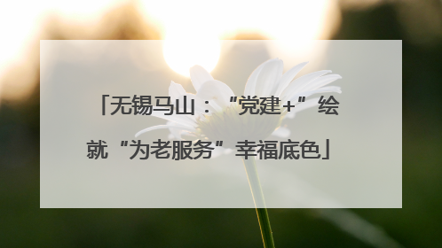 无锡马山：“党建+”绘就“为老服务”幸福底色