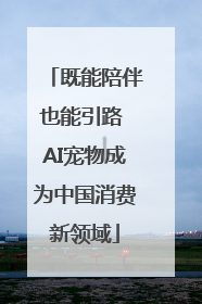 既能陪伴也能引路 AI宠物成为中国消费新领域