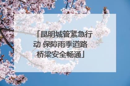 昆明城管紧急行动 保障雨季道路桥梁安全畅通