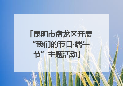 昆明市盘龙区开展“我们的节日·端午节”主题活动
