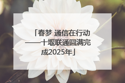 春梦 通信在行动——十堰联通圆满完成2025年
