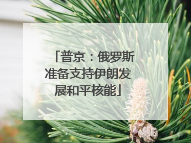 普京：俄罗斯准备支持伊朗发展和平核能