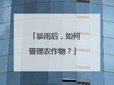 暴雨后，如何管理农作物？