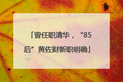 曾任职清华，“85后”黄佐财新职明确