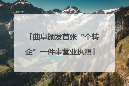 曲阜颁发首张“个转企”一件事营业执照