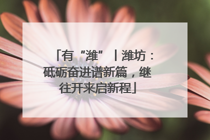 有“潍”丨潍坊：砥砺奋进谱新篇，继往开来启新程
