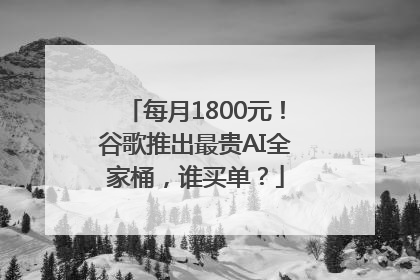 每月1800元！谷歌推出最贵AI全家桶，谁买单？