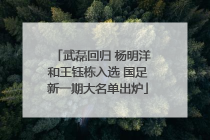 武磊回归 杨明洋和王钰栋入选 国足新一期大名单出炉