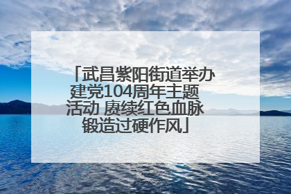 武昌紫阳街道举办建党104周年主题活动 赓续红色血脉锻造过硬作风