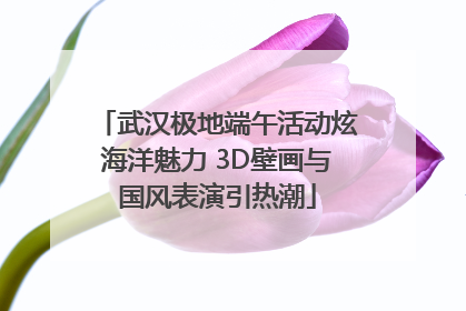 武汉极地端午活动炫海洋魅力 3D壁画与国风表演引热潮
