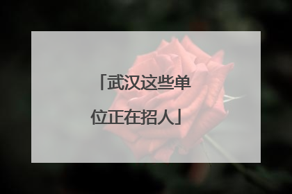 武汉这些单位正在招人
