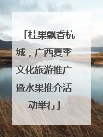 桂果飘香杭城，广西夏季文化旅游推广暨水果推介活动举行