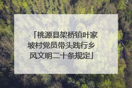 桃源县架桥镇叶家坡村党员带头践行乡风文明二十条规定