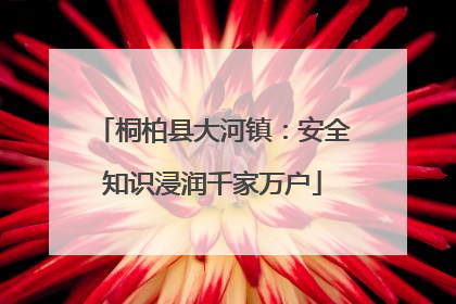桐柏县大河镇：安全知识浸润千家万户