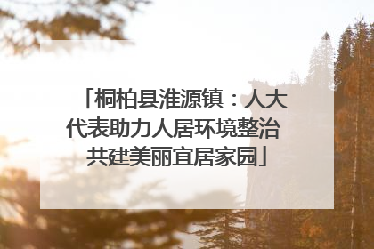 桐柏县淮源镇：人大代表助力人居环境整治 共建美丽宜居家园