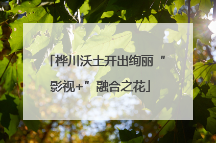 桦川沃土开出绚丽“影视+”融合之花