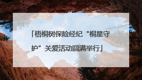 梧桐树保险经纪“桐星守护”关爱活动圆满举行