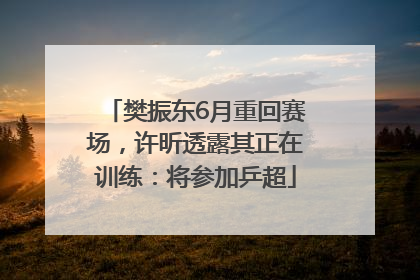 樊振东6月重回赛场，许昕透露其正在训练：将参加乒超