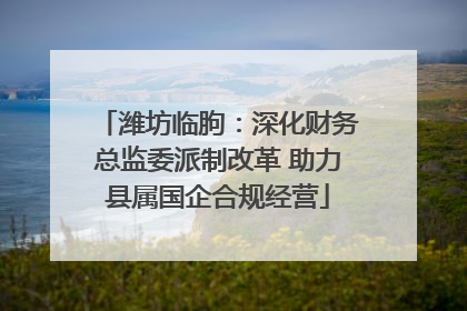潍坊临朐：深化财务总监委派制改革 助力县属国企合规经营