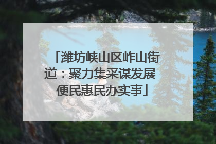 潍坊峡山区岞山街道：聚力集采谋发展 便民惠民办实事