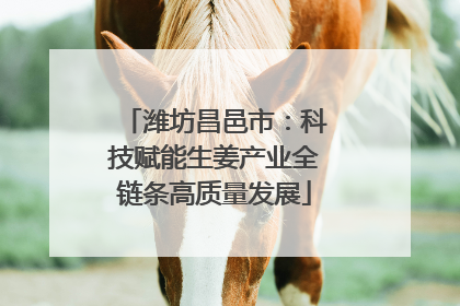 潍坊昌邑市：科技赋能生姜产业全链条高质量发展