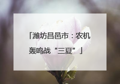 潍坊昌邑市：农机轰鸣战“三夏”