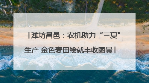 潍坊昌邑：农机助力“三夏”生产 金色麦田绘就丰收图景