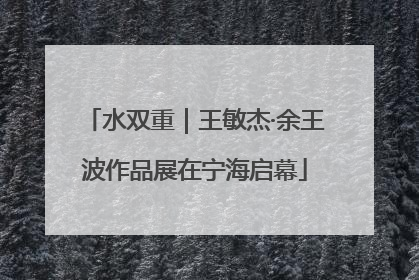 水双重｜王敏杰·余王波作品展在宁海启幕