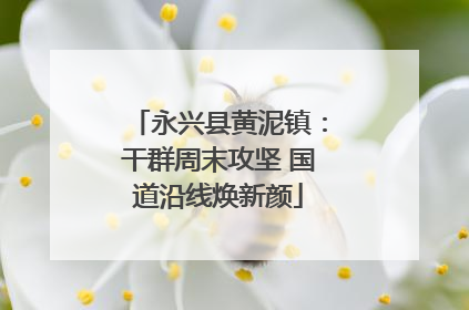 永兴县黄泥镇：干群周末攻坚 国道沿线焕新颜