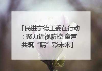 民进宁德工委在行动：聚力近视防控 童声共筑“睛”彩未来