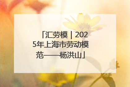 汇劳模｜2025年上海市劳动模范——杨洪山