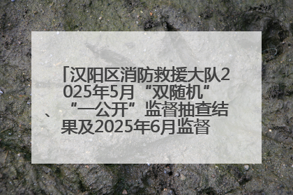 汉阳区消防救援大队2025年5月“双随机”、“一公开”监督抽查结果及2025年6月监督抽查任务公示