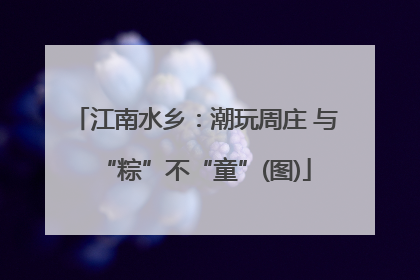 江南水乡：潮玩周庄 与“粽”不“童”(图)