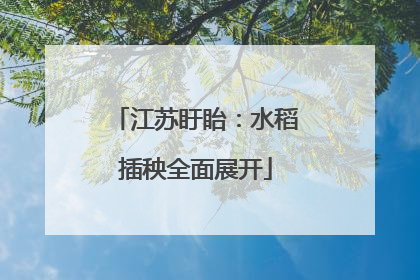 江苏盱眙：水稻插秧全面展开