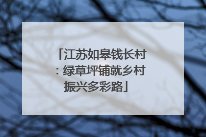 江苏如皋钱长村：绿草坪铺就乡村振兴多彩路