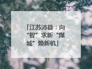 江苏沛县：向“智”求新“煤城”焕新机