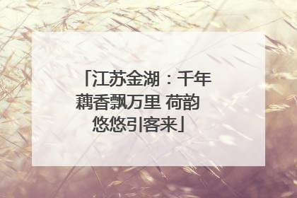 江苏金湖：千年藕香飘万里 荷韵悠悠引客来