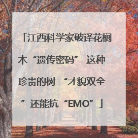 江西科学家破译花榈木“遗传密码” 这种珍贵的树 “才貌双全”还能抗“EMO”